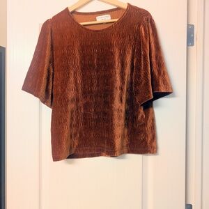 Madewell Burgundy Velvet Textured Blouse